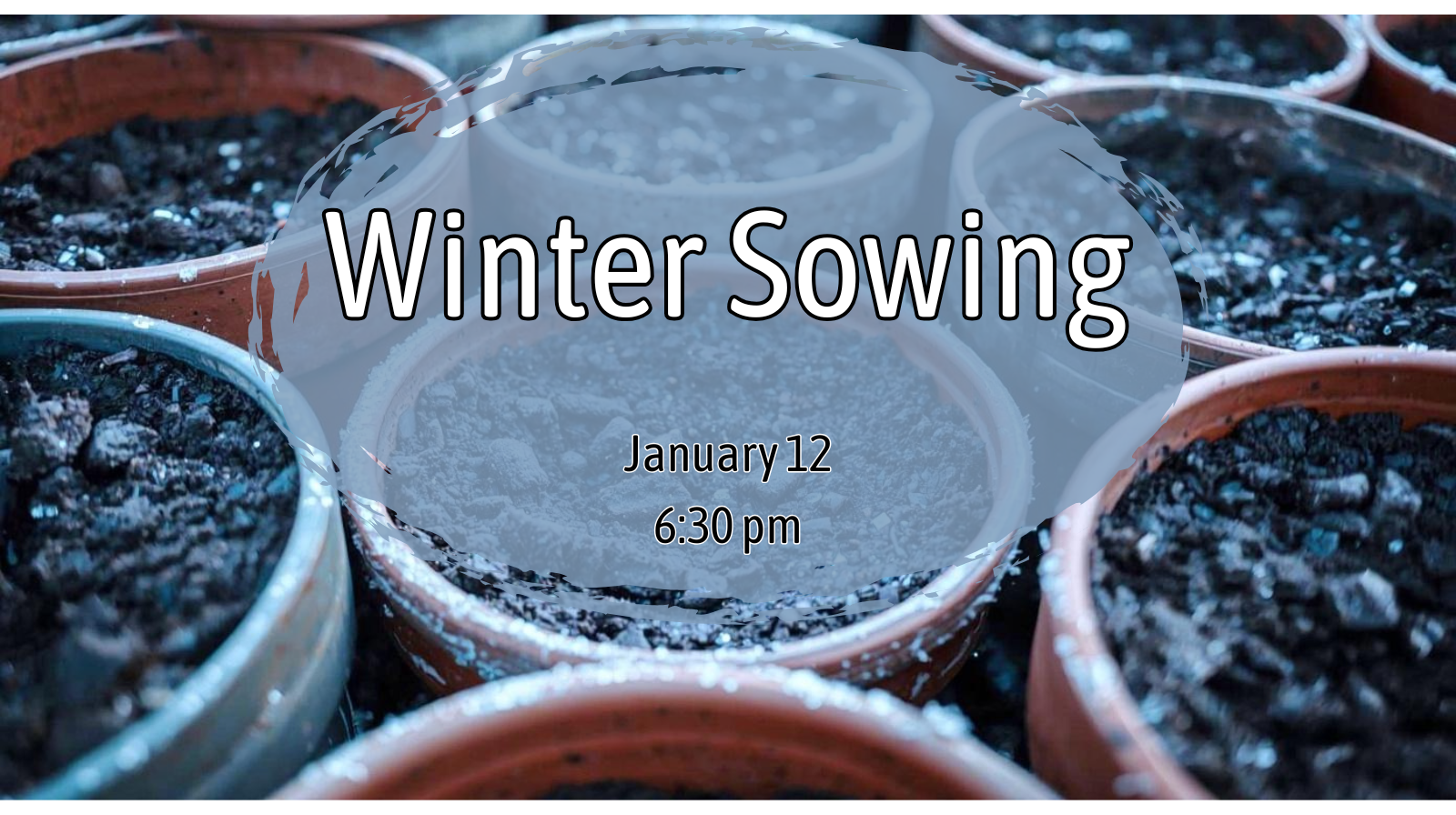 Winter Sowing